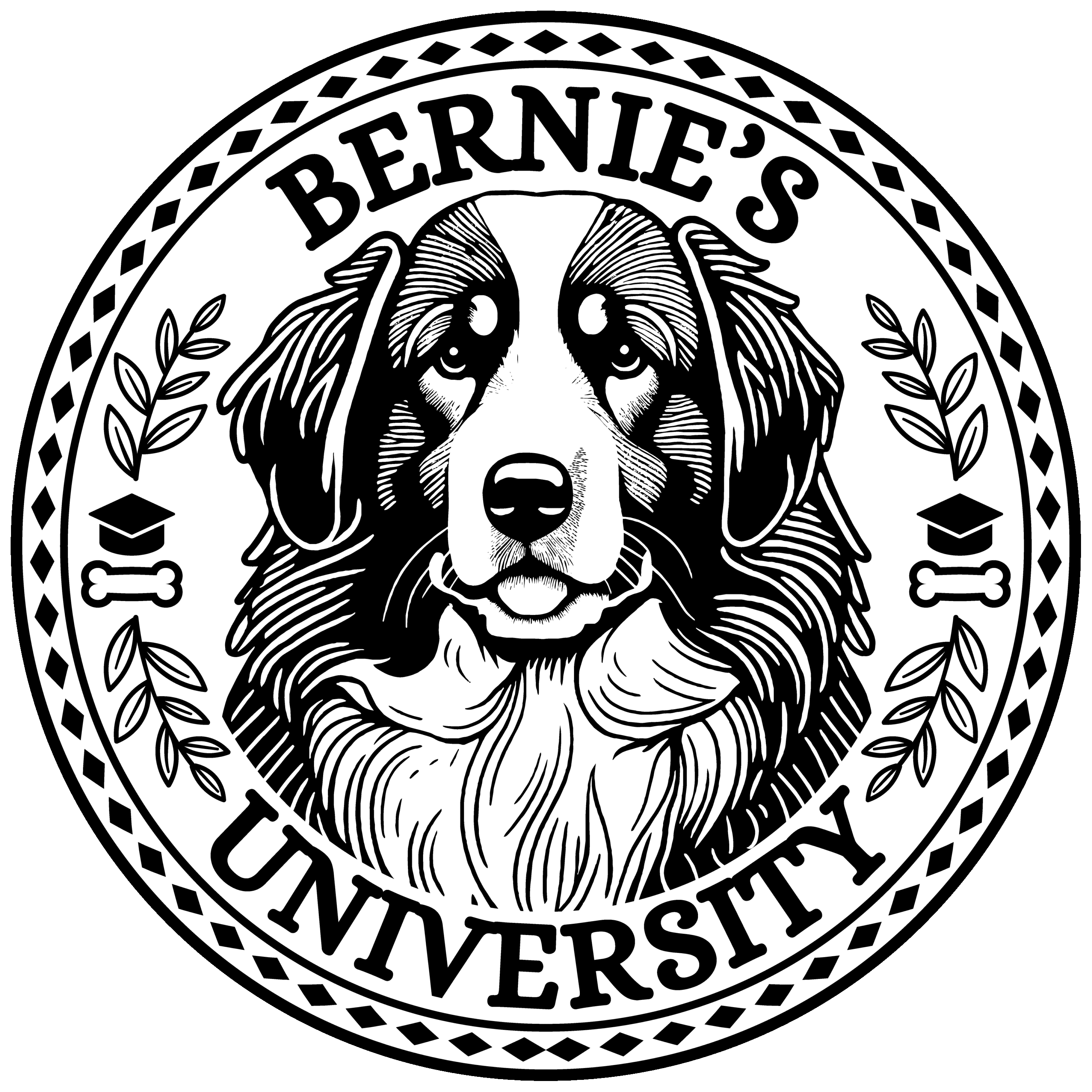 Bernie's University