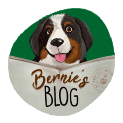 Bernie's blog